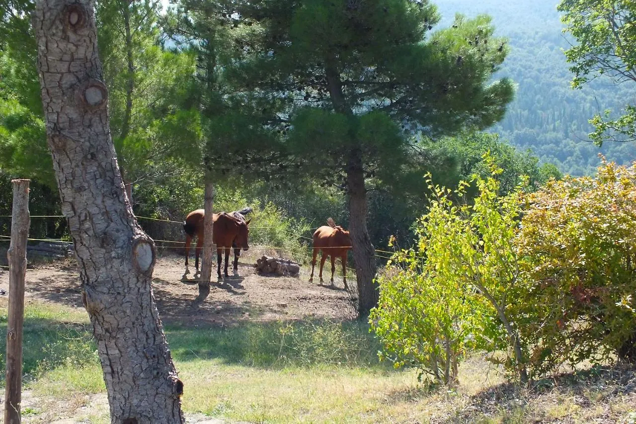 Feriegård Az.Agr. Il Cavalleggero Campiglia dʼOrcia