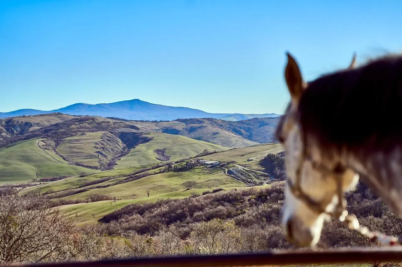 Az.Agr. Il Cavalleggero Campiglia dʼOrcia Vakantieboerderij
