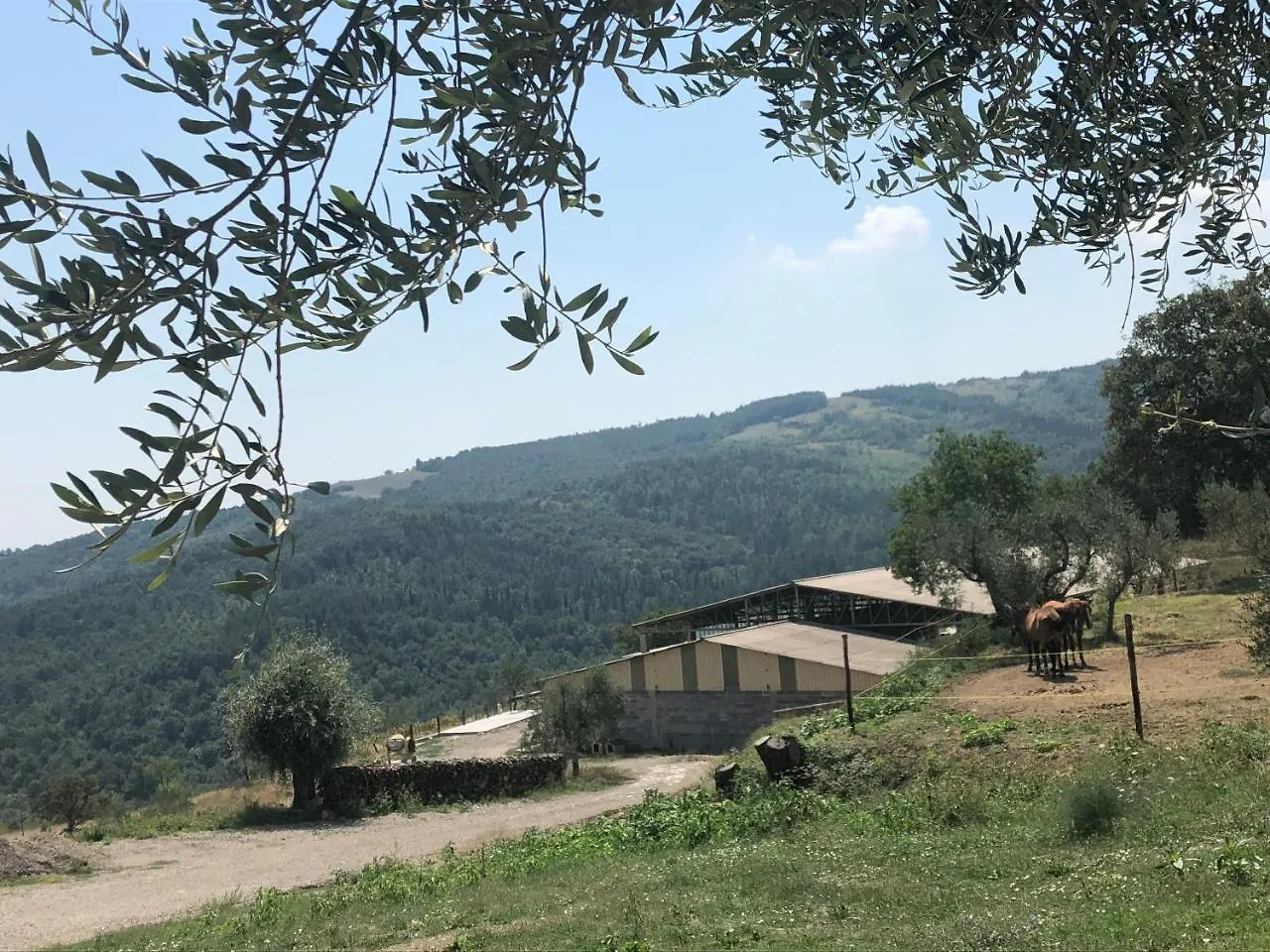 Az.Agr. Il Cavalleggero Campiglia dʼOrcia