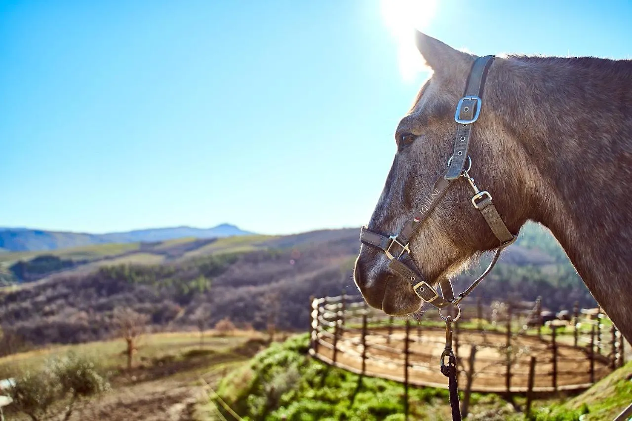 Az.Agr. Il Cavalleggero Campiglia dʼOrcia